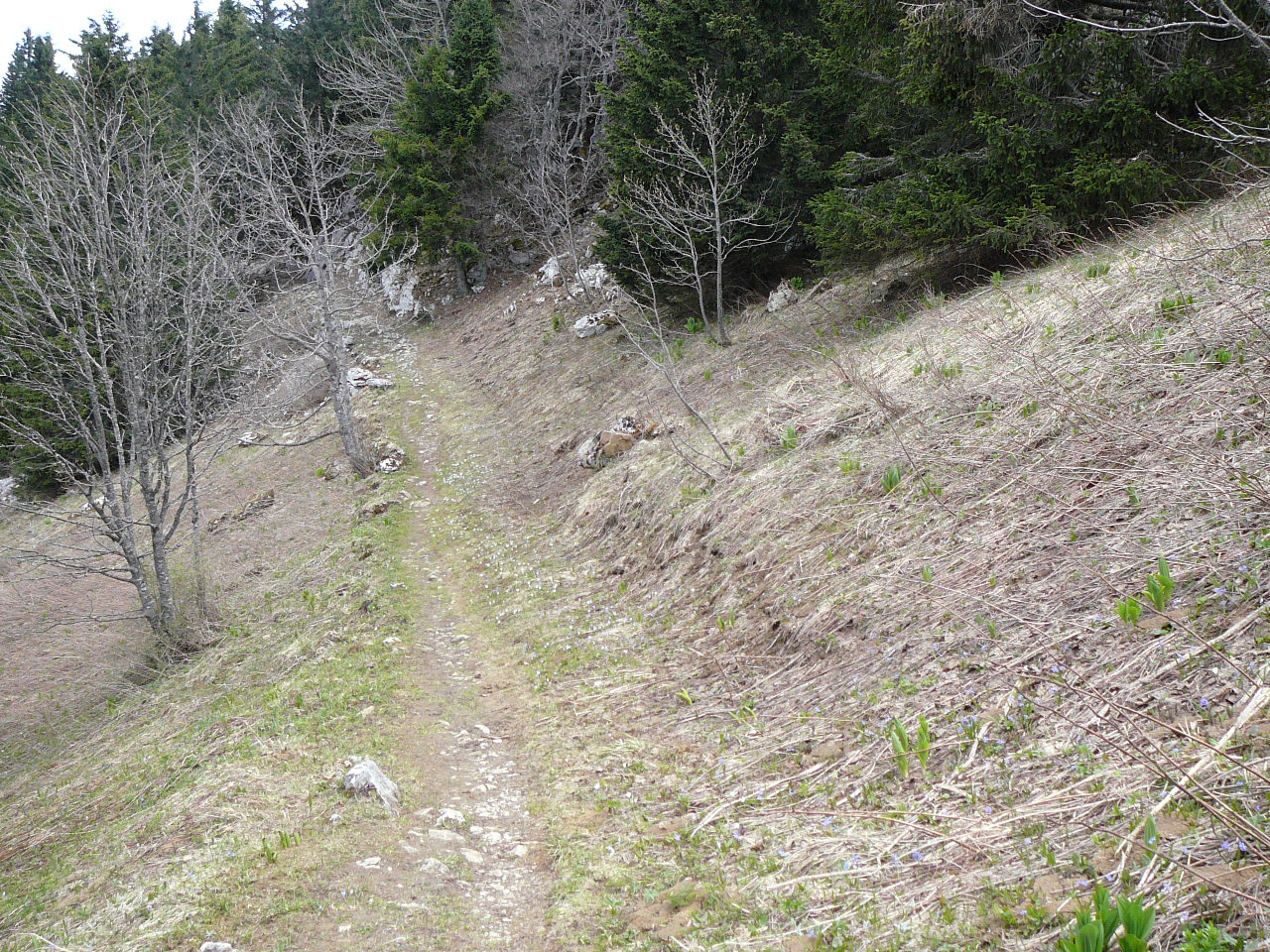 L'Achard - Autrans Chemin de crête près de la falaise 