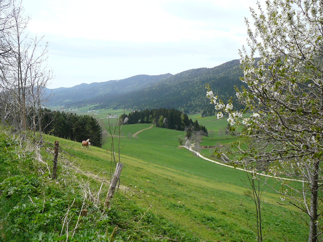 L'Achard - Autrans Le Val d'Autrans 