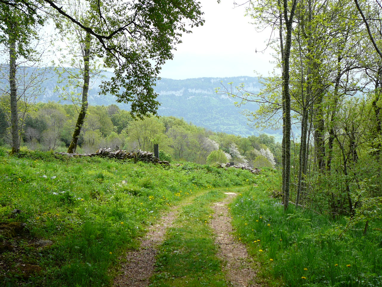 Au loin, le cirque de Bournillon -  