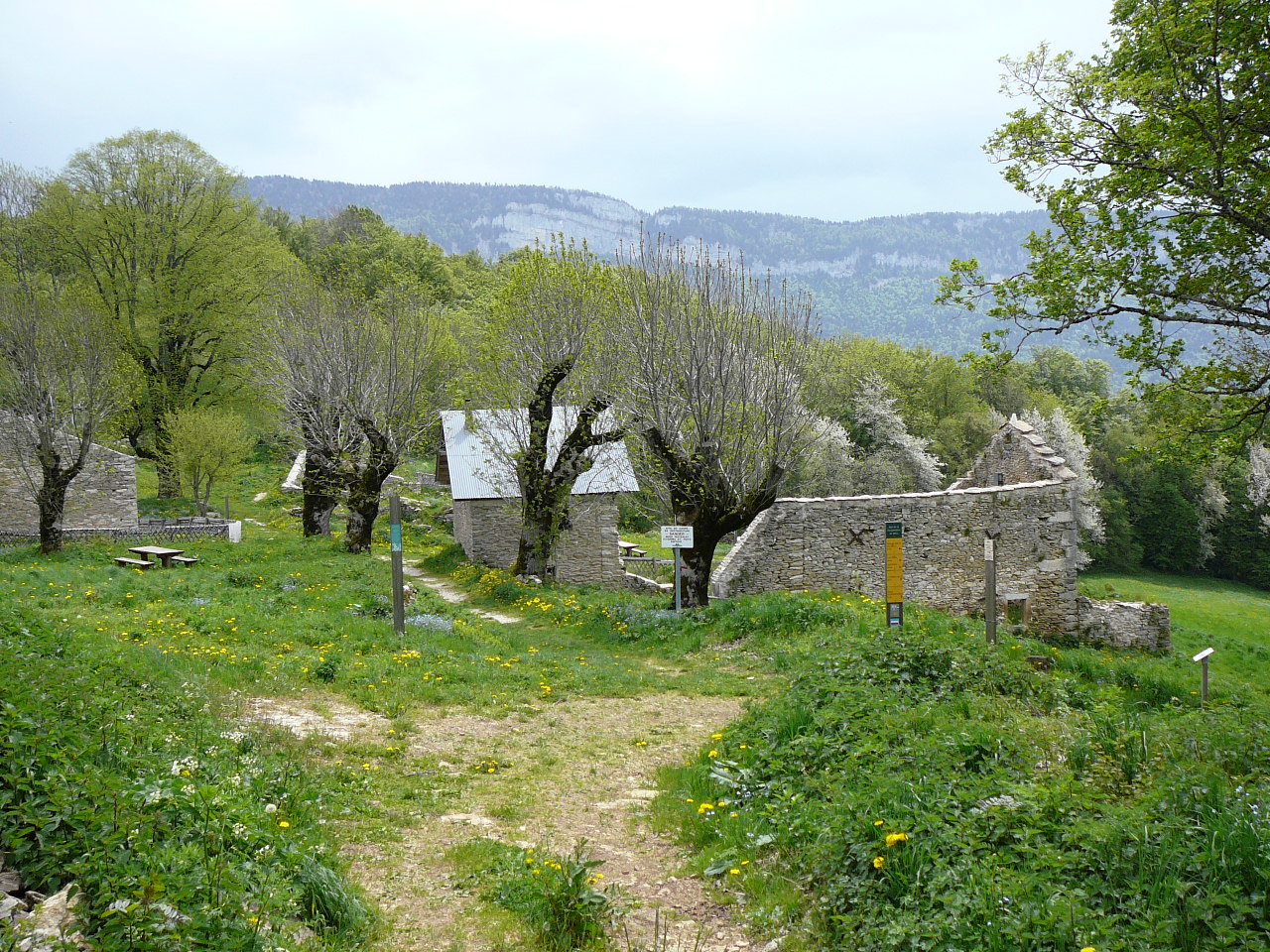 Ruines du hameau de La Goulandière - Ancien village de charbonniers