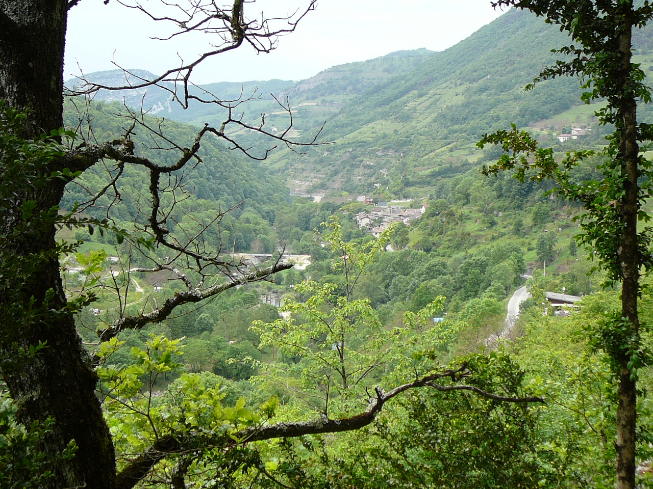Chomange dans la vallée -  