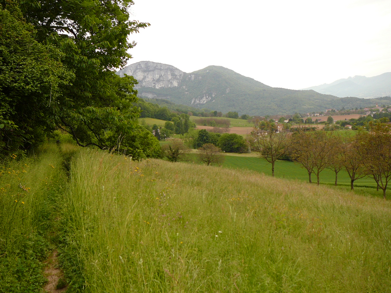 Près de St-Laurent-en-Royants -  