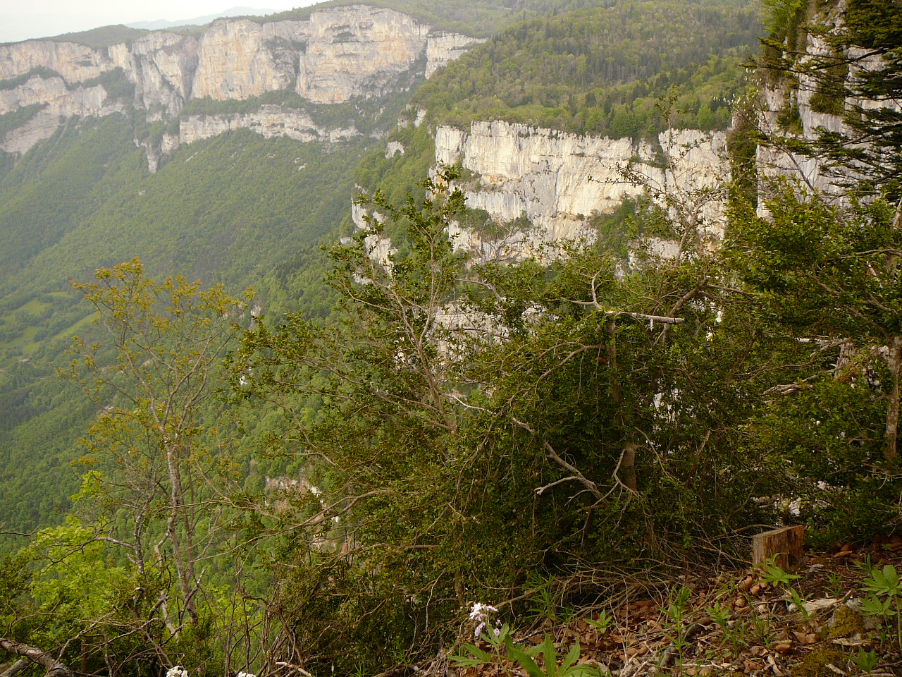 Les Rochers de Laval -  