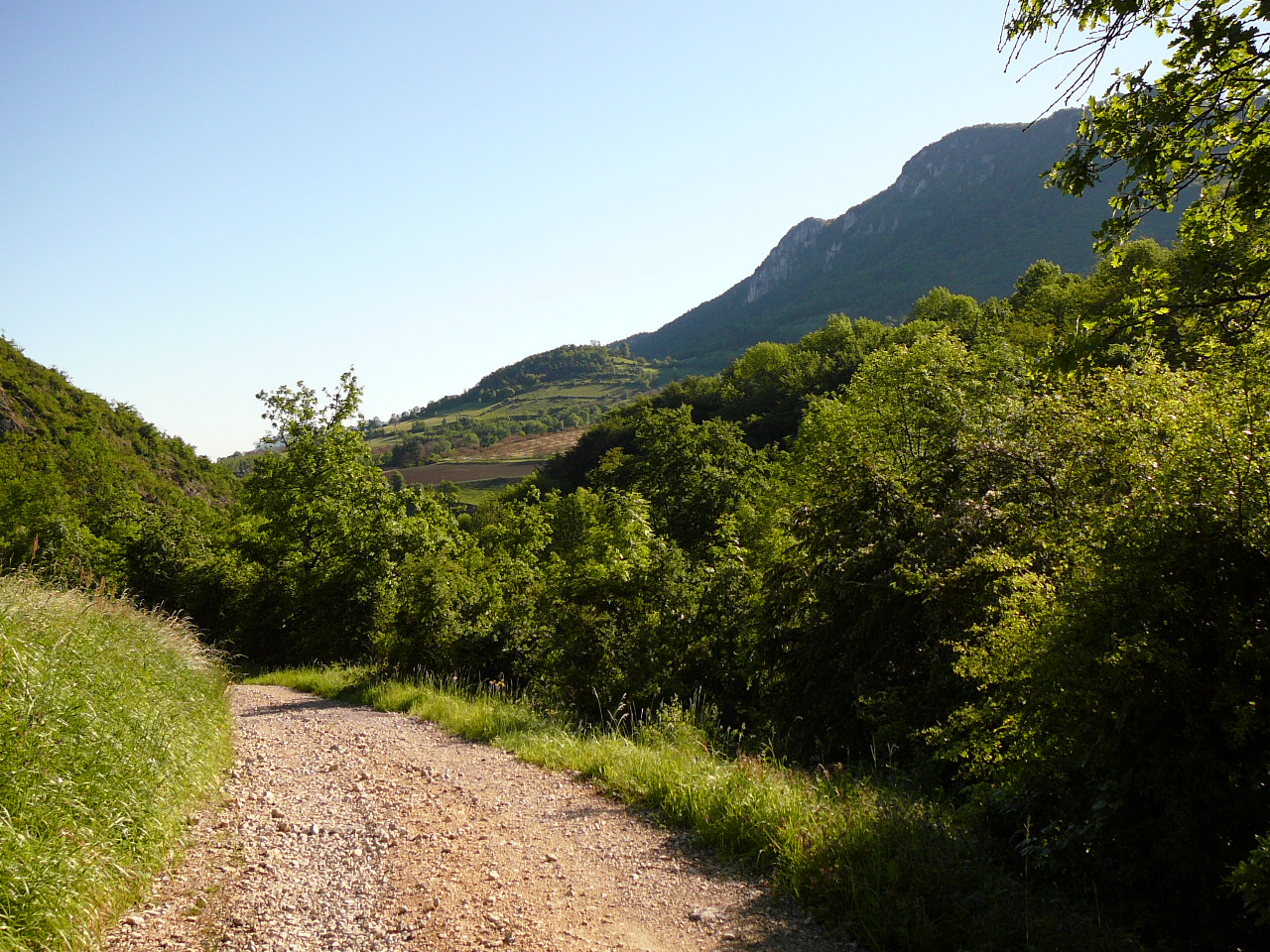 Près du lieu-dit les Courioles -  
