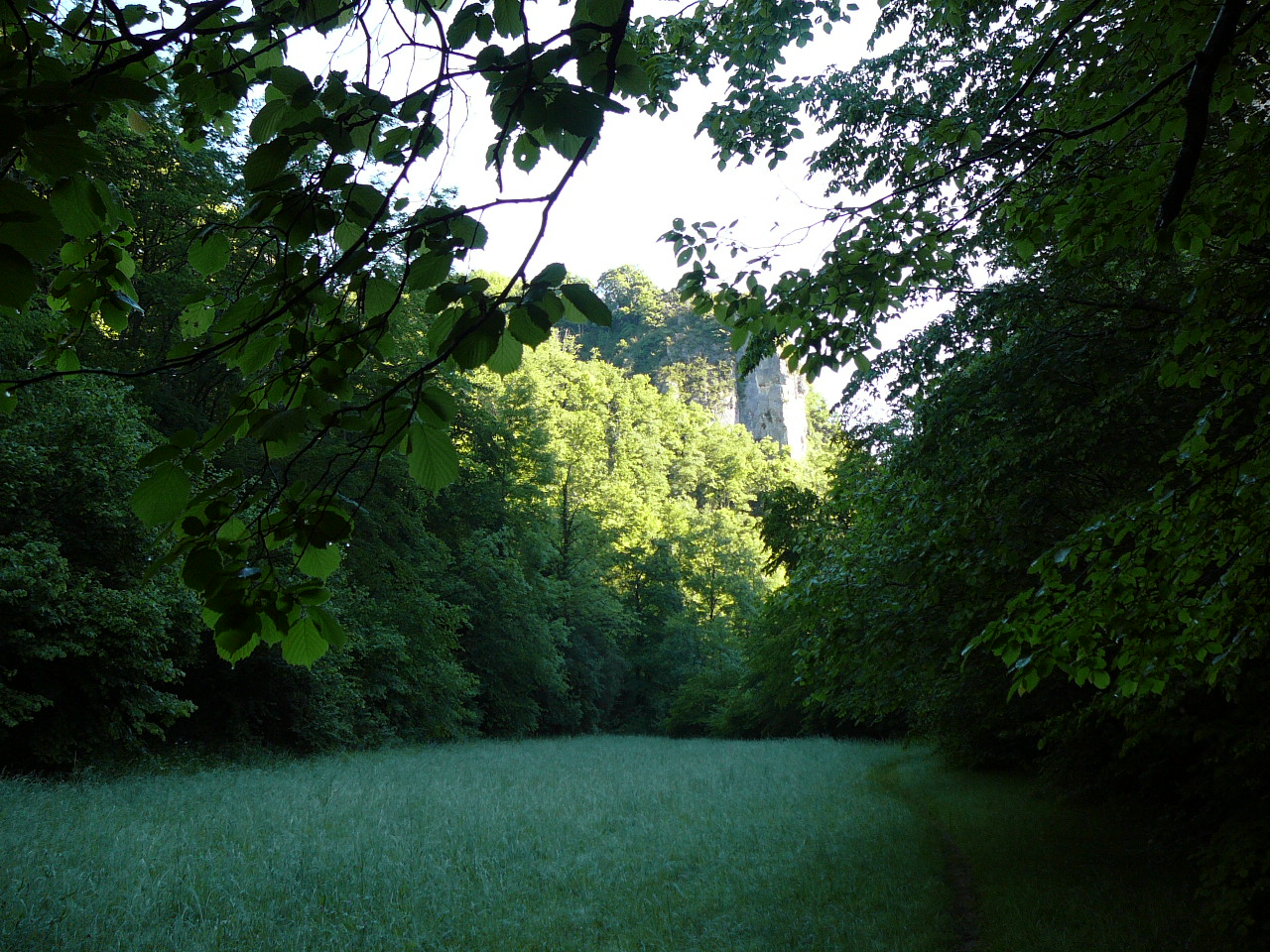 La Roche Chien -  
