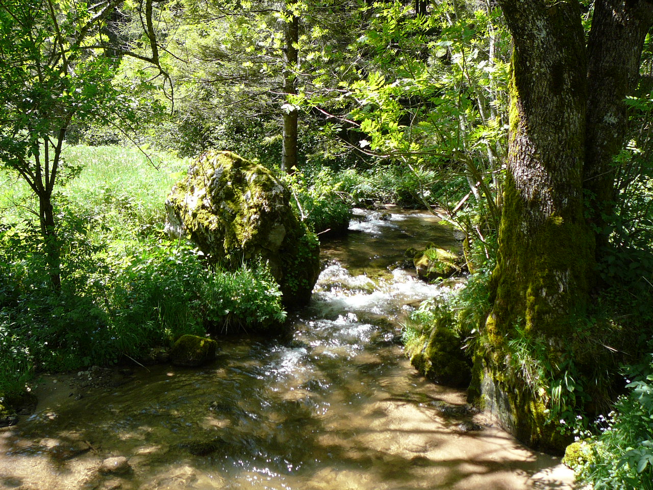 Bouvantes-le-Bas - Léoncel La rivière Léoncel 