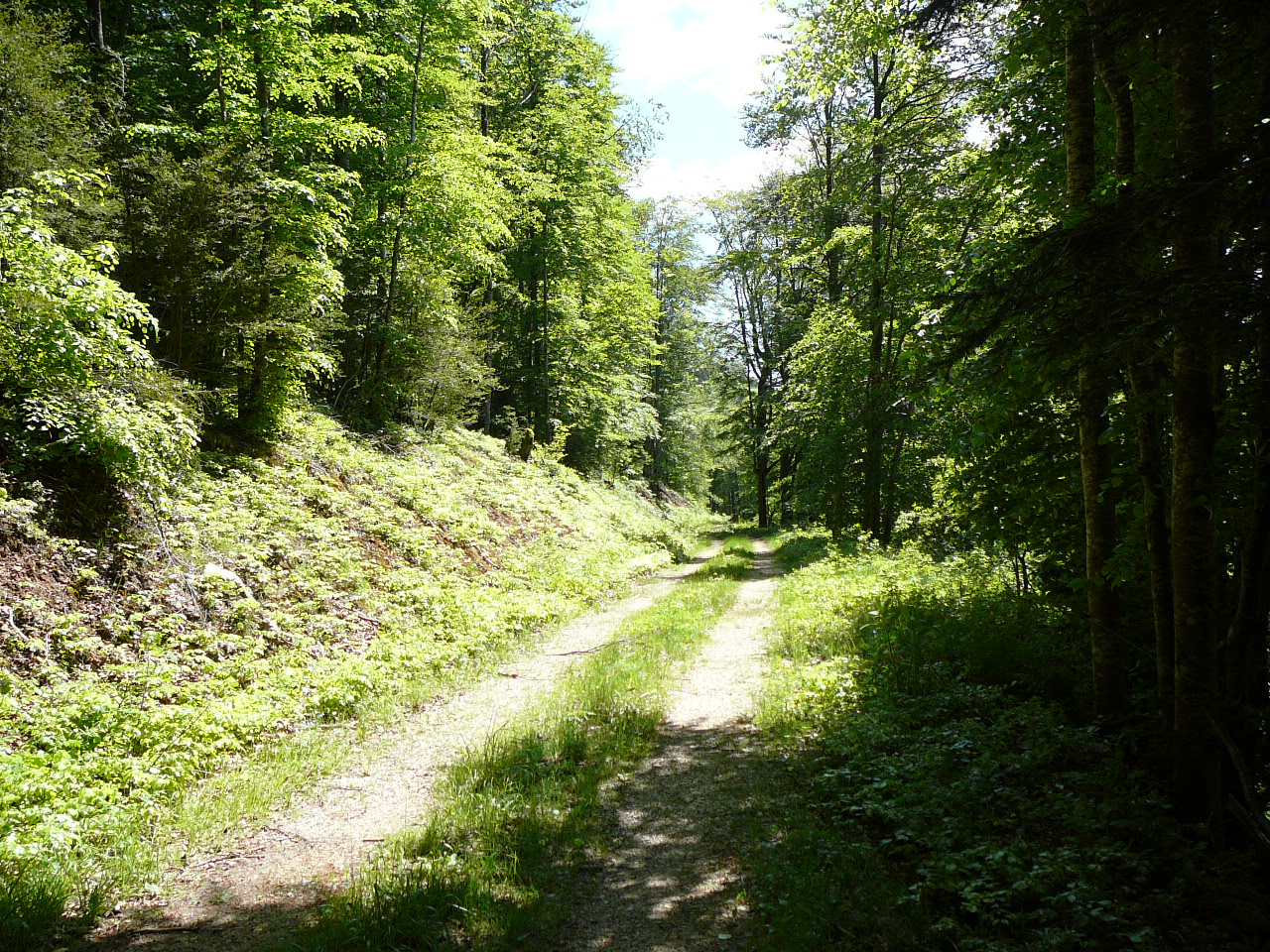 Bouvantes-le-Bas - Léoncel Le chemin près de la rivière Léoncel 