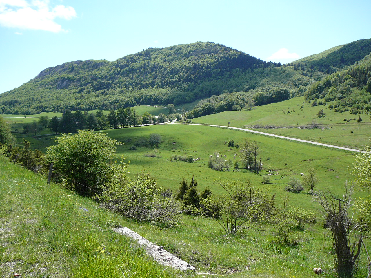 Bouvantes-le-Bas - Léoncel Arrivée dans le Val de Léoncel 