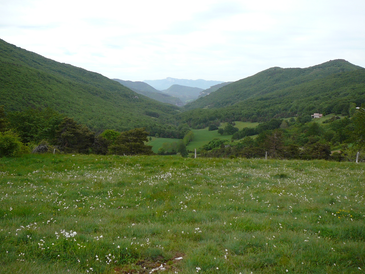 Vallée du ruisseau de Comberoufle -  