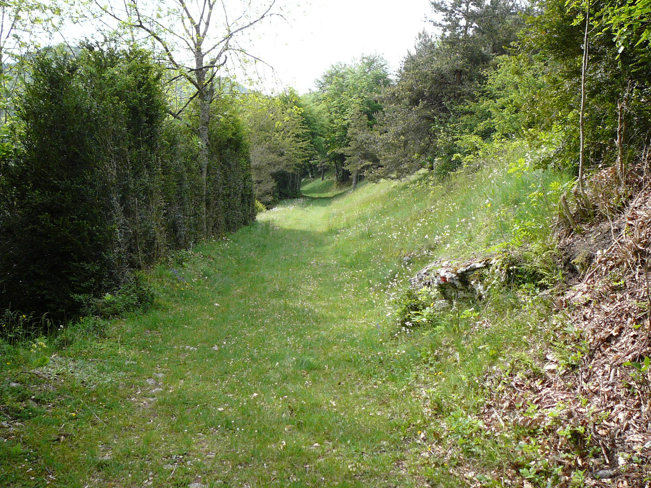 Léoncel - Beaufort-sur-Gervanne Le chemin après La Vacherie 