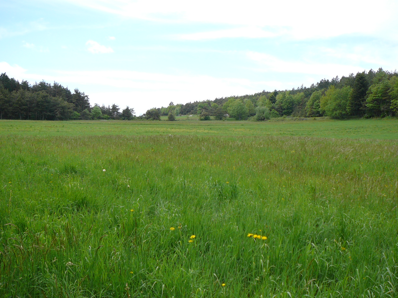 Plateau du Vellan -  