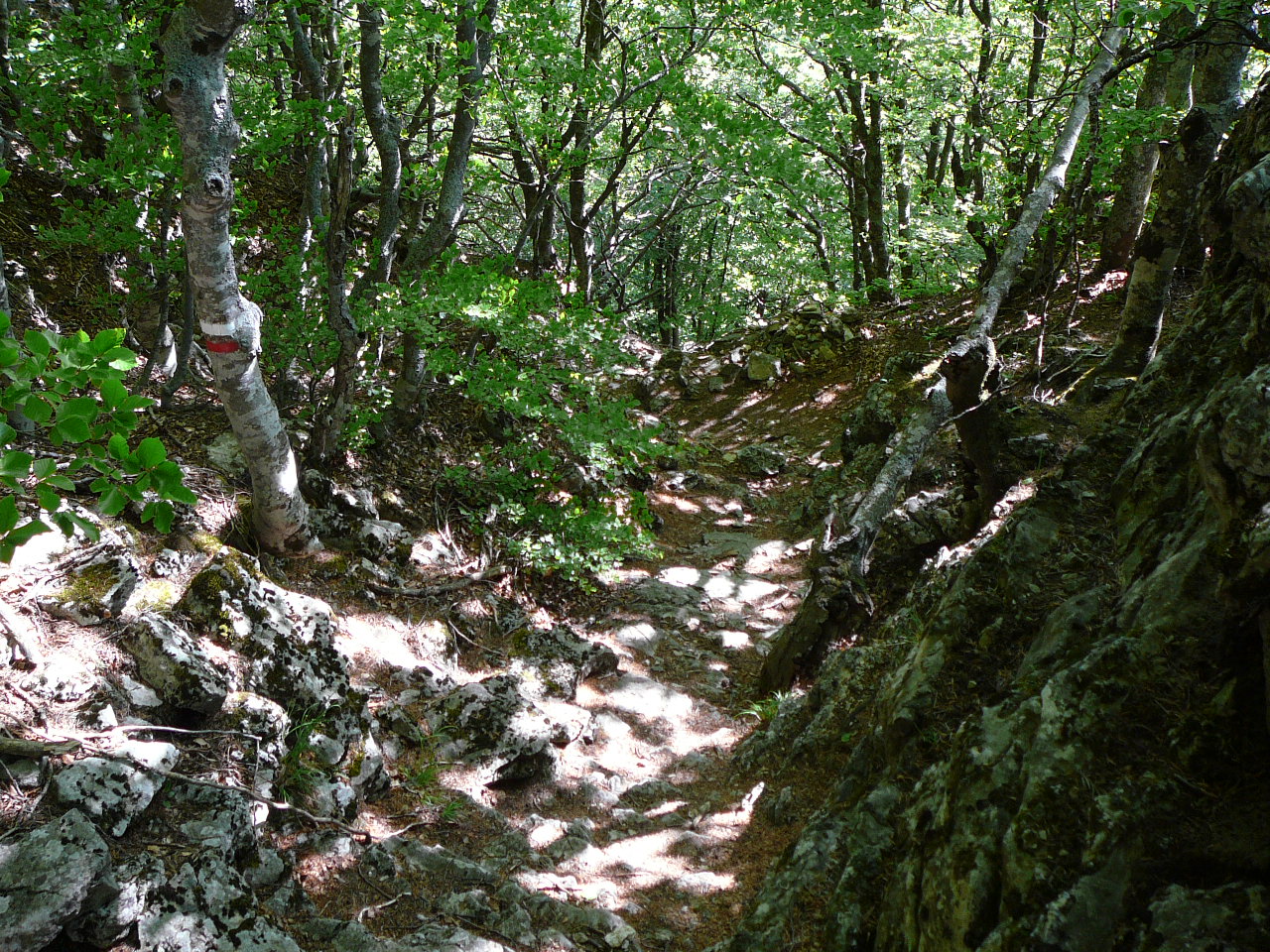 La montée vers le Pas de la Motte -  
