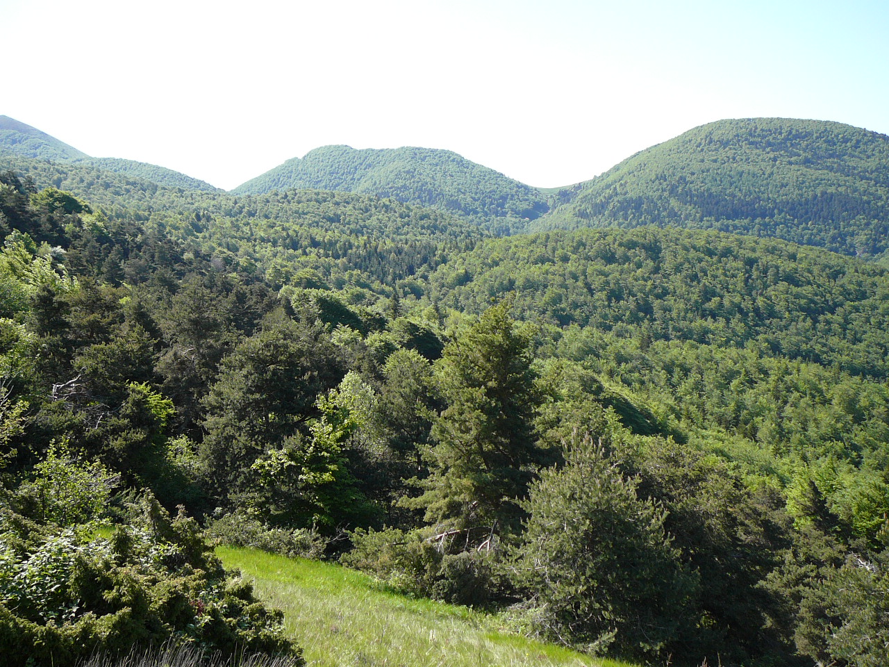 Autre vue depuis le Pas des Auberts -  