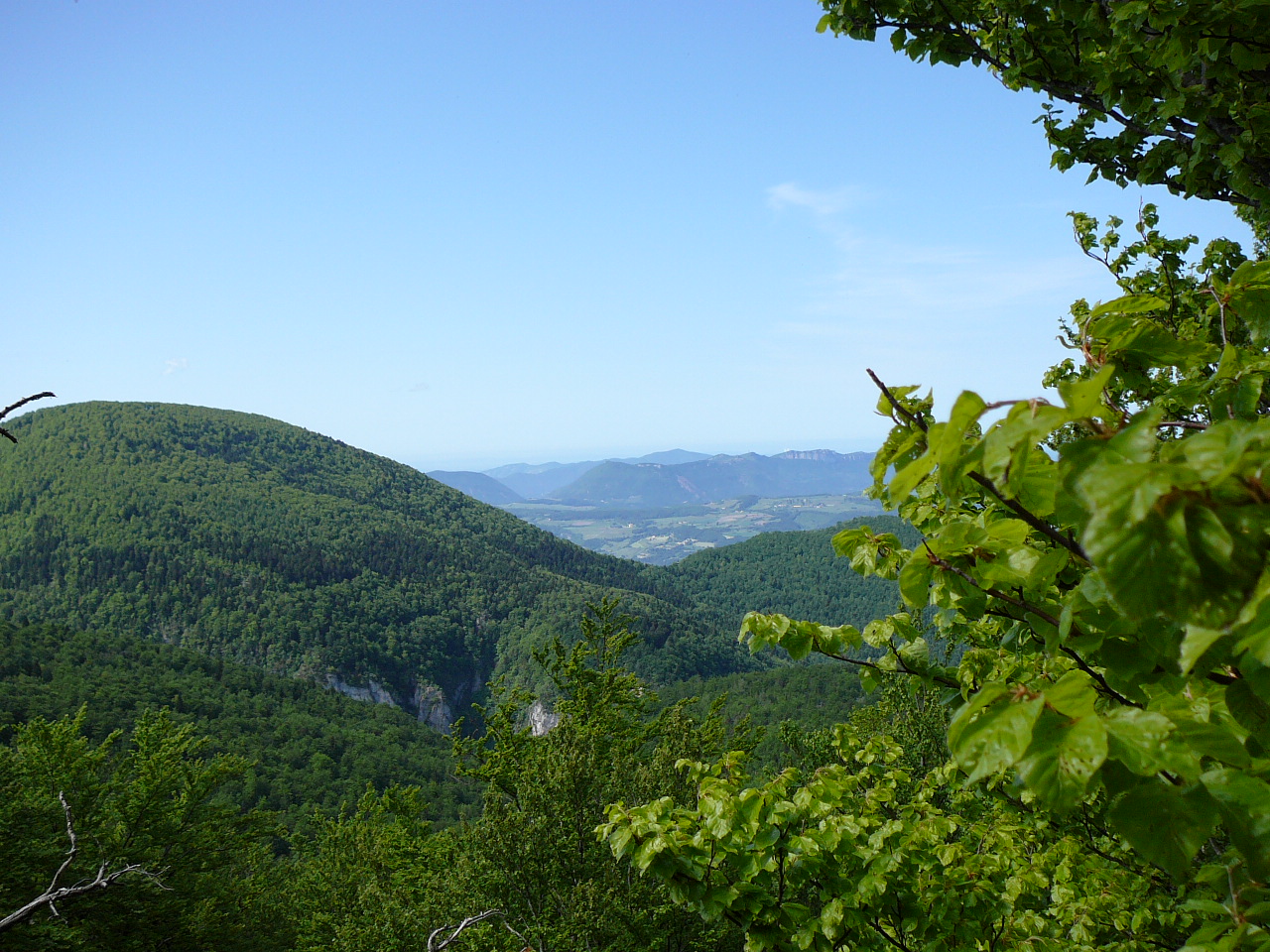 Forêt de Saou -  