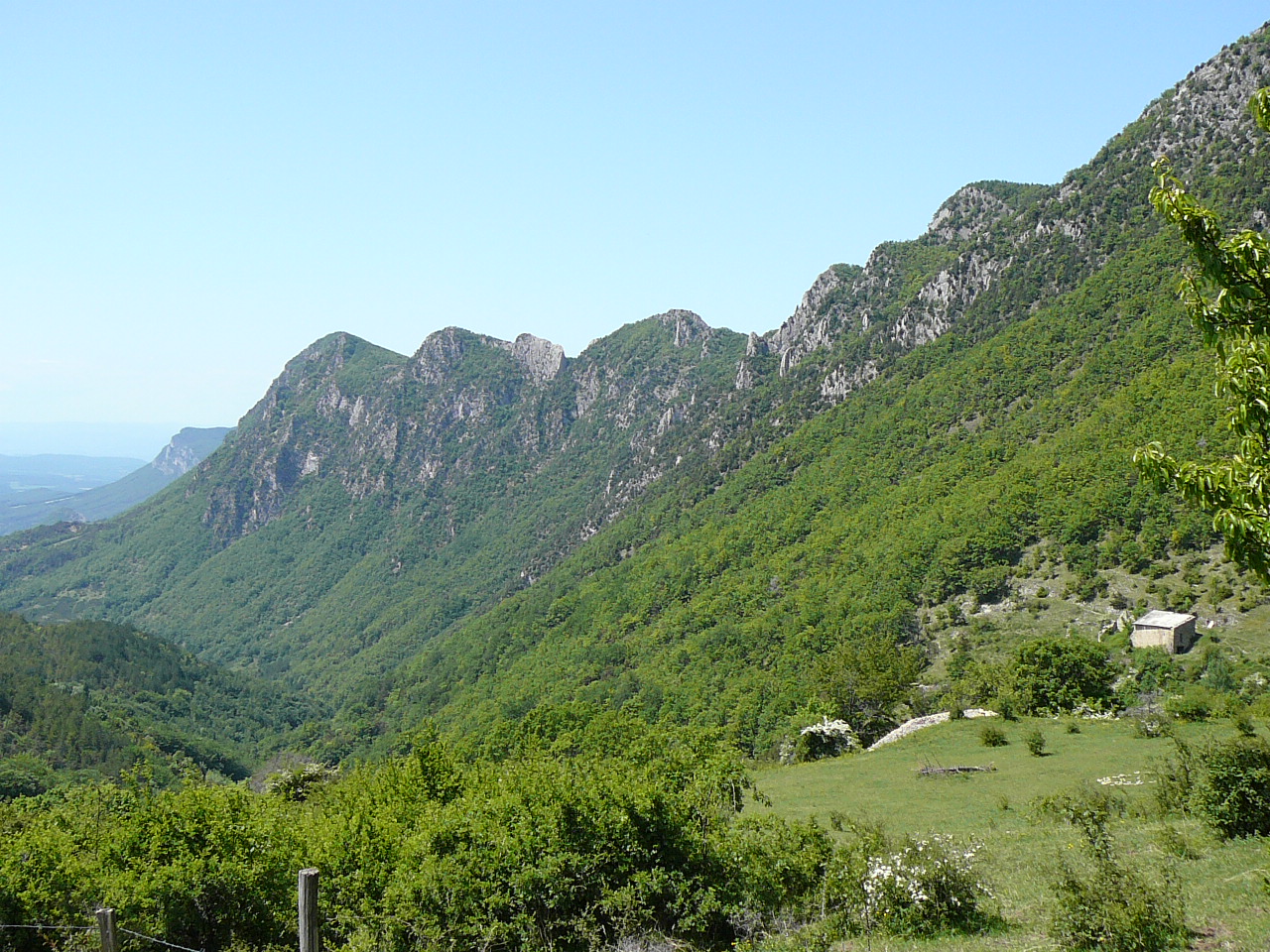 L'autre versant de la forêt de Saou -  
