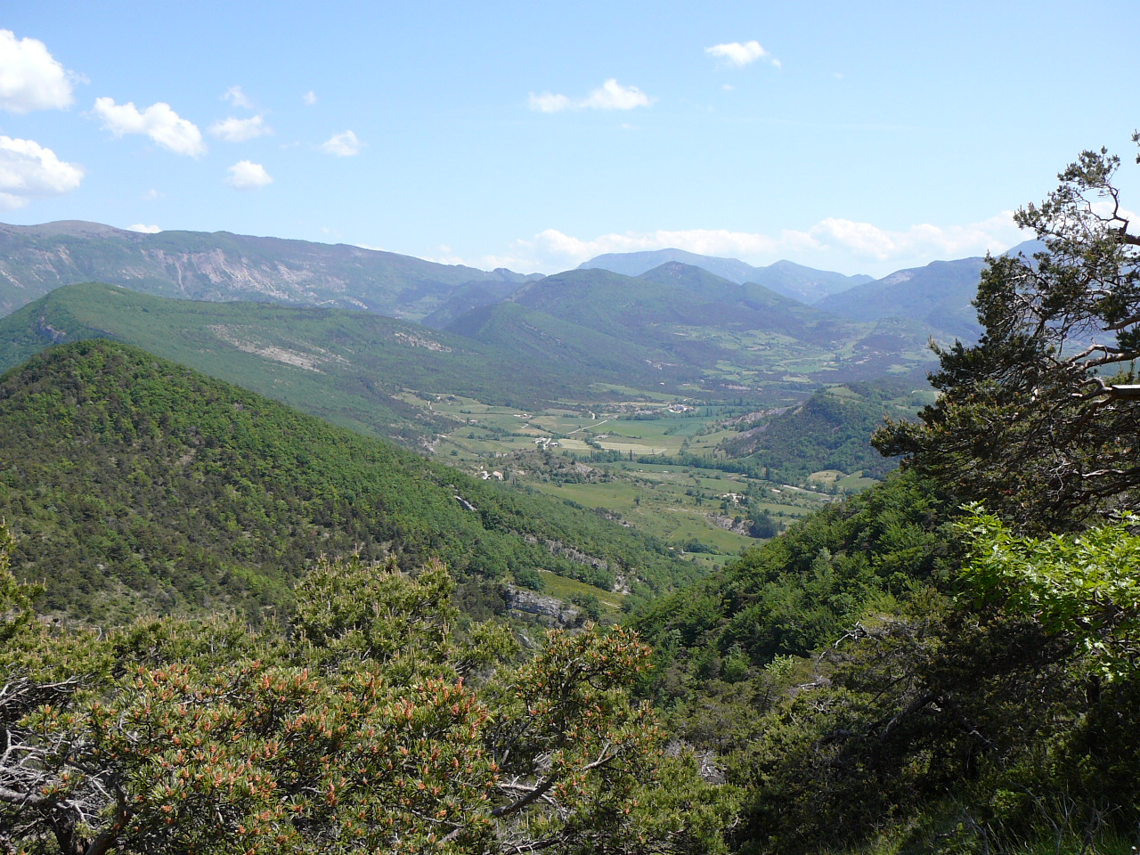 Vue depuis le Pié-Grimaud -  