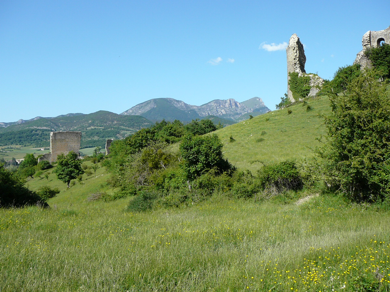 Les ruines du château de Bourdeaux -  