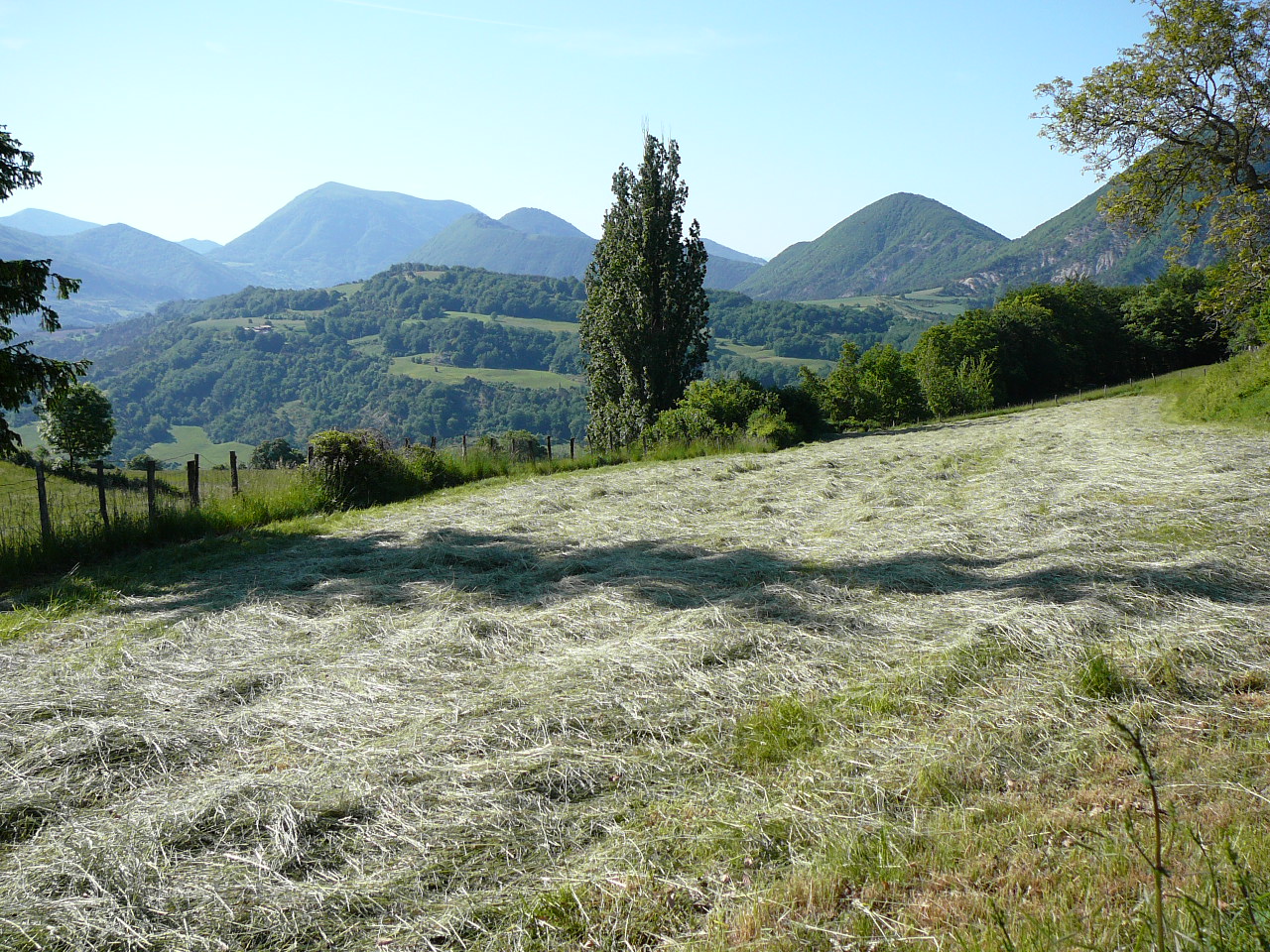 Une campagne apaisante -  