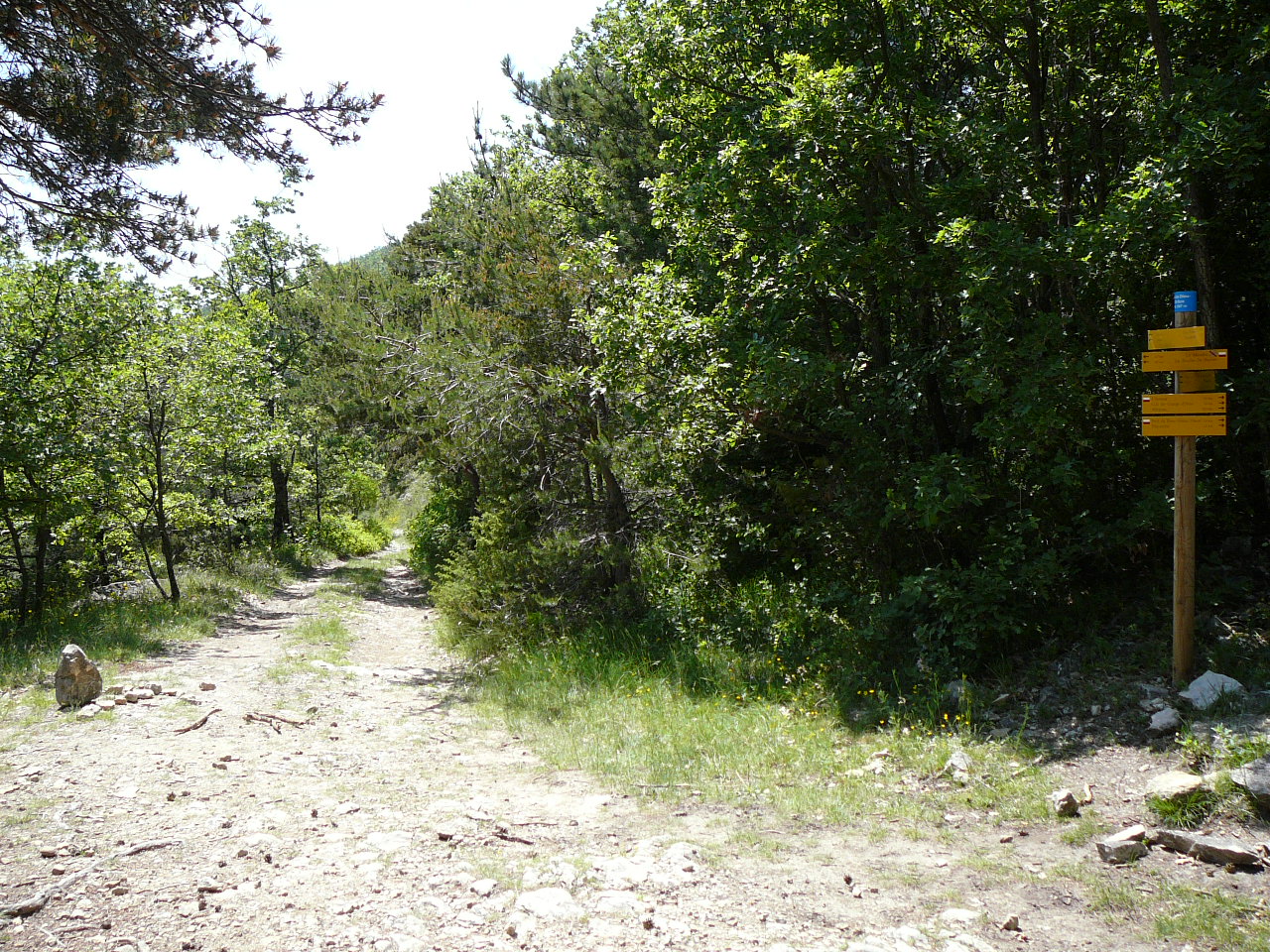 Bourdeaux - La Roche-Saint-Secret Le chemin au col de Dieu-Grâce 