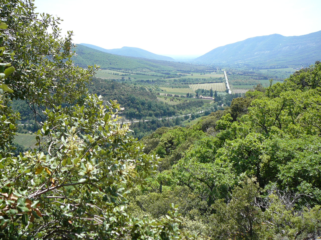 Bourdeaux - La Roche-Saint-Secret La Roche-Saint-Secret au loin 