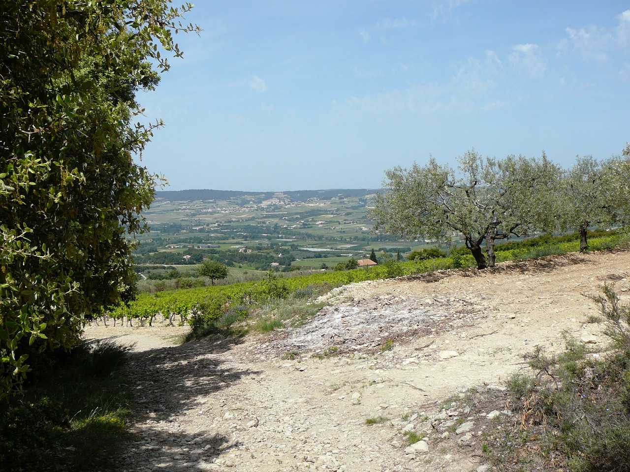 Nyons - Vaison-la-Romaine En bas de la montagne du Deves 