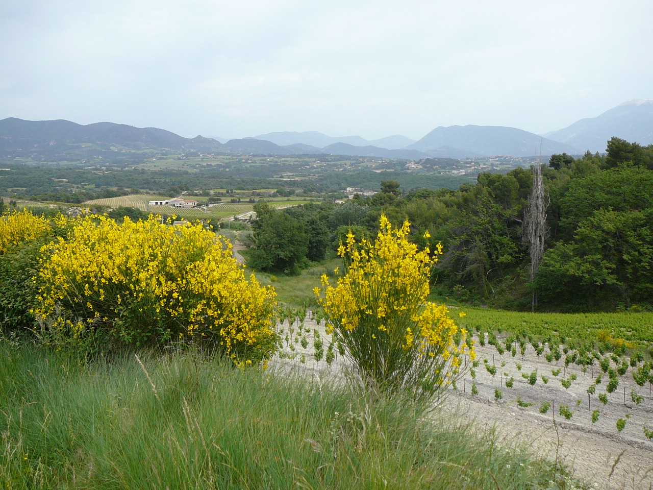 Près de Vaison-la-Romaine -  